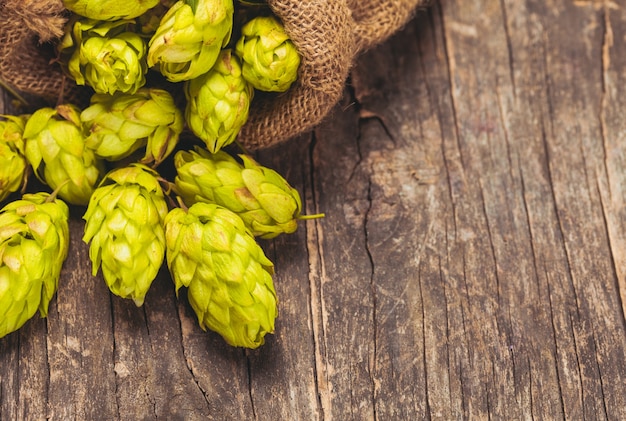 Hops with green leaf on a wooden background with copy space