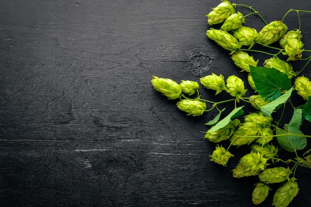 Hops on a wooden background Top view Free space for text