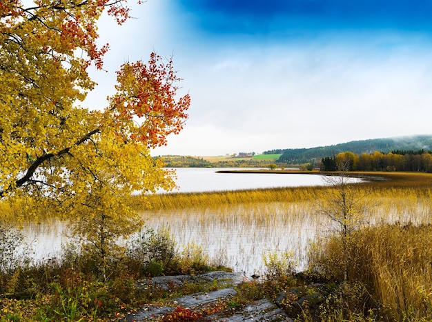 Horizontaal herfstlandschap op de achtergrond van Noorwegen