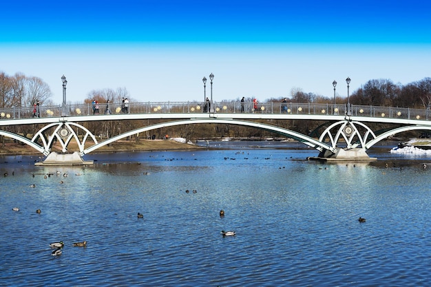 Horizontal arc bridge in Moscow park background