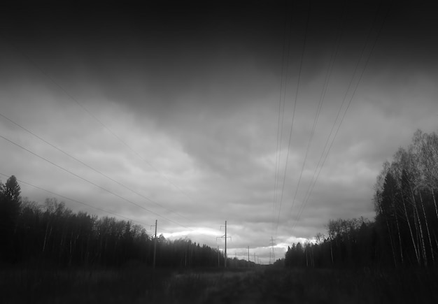Photo horizontal black and white forest with power lines background