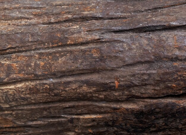 Horizontal Brown Texture of Wooden Grain Background