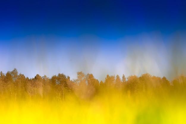 Horizontal grass on autumn field bokeh background hd