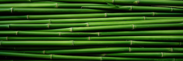 Horizontal green bamboo background texture