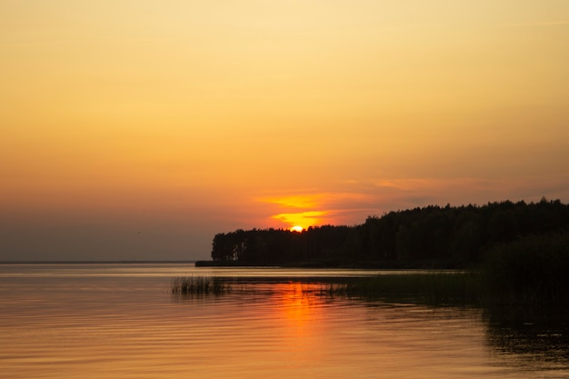 Photo the  horizontal photo of golden sunset above the river or sea. reflection in the water like fire. seacoast.