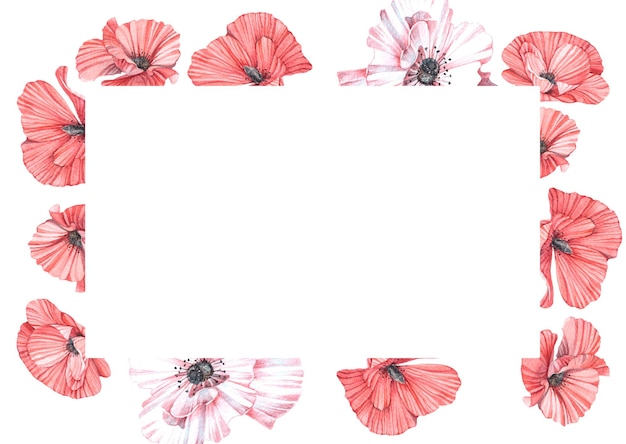 Horizontal postcard with watercolor illustrations of red poppies Handmade work Isolated