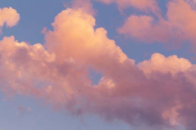 雲のある水平撮影夕焼け 夕暮れ時の劇的なピンクの雲の風景 日の出 夕焼け 青空