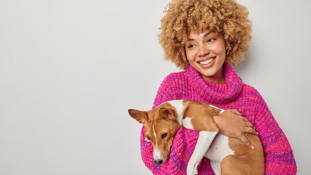 Horizontal shot of happy dreamy woman with curly hair carries
basenji dog on hands being on way to vet for consultancy loves her
pet dressed in knitted sweater isolated over grey background