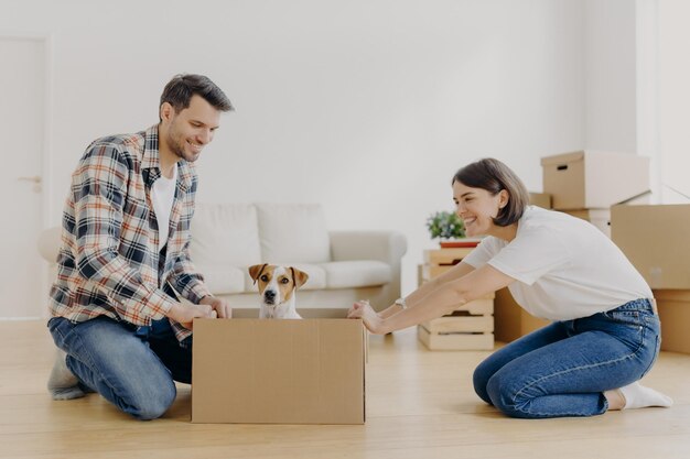 Horizontal shot of lovely woman moves cardboard box with small puppy to husband side spend free time together move in new modern dwelling unpack belongings start new life in modern flat