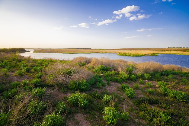 Horizontal shot of the river and plants, Holkham National Nature Reserve, Wells-next-the-Sea, UK