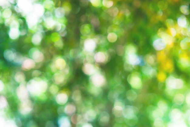 Horizontal summer green bokeh background hd