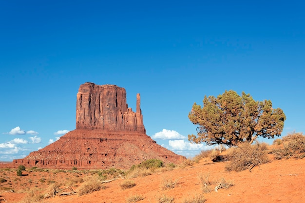 Горизонтальный вид на племенной парк Навахо Долины монументов, Аризона.