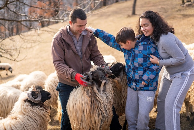 A horizontal view of a shepherd holding a lamb with a flock of sheep standing in the foreground in a gated pasture