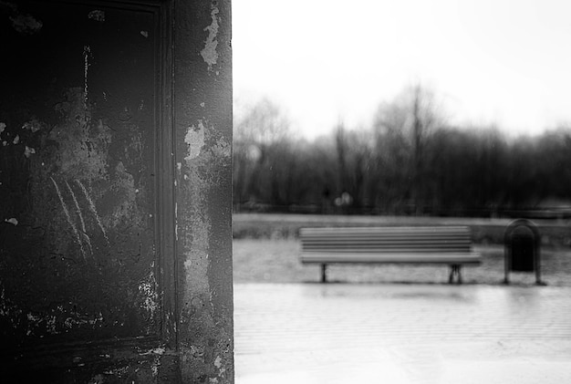 Horizontal vintage bench in park bokeh background