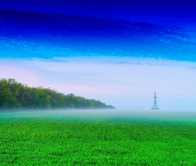 Horizontal vivid green power lines source background backdrop