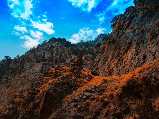 Horizontal vivid orange rusty mountains landscape background backdrop