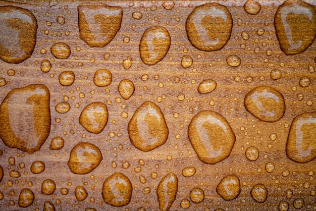 Horizontale achtergrond van gelakte verbrande houtstructuur met glanzende waterdruppels van de regen natte houten planken