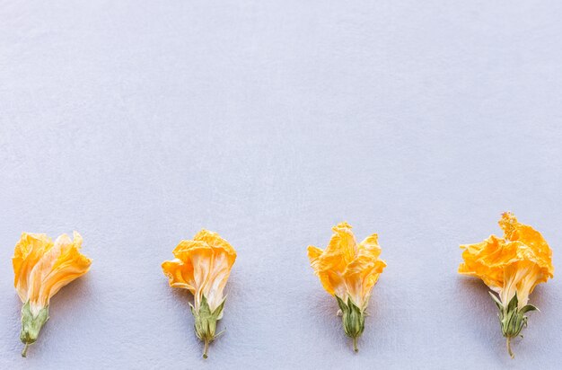 Horizontale compositie van vier gele gedroogde bloemen gerangschikt in de rij onderaan op een gestructureerde grijze achtergrond met zacht natuurlijk licht