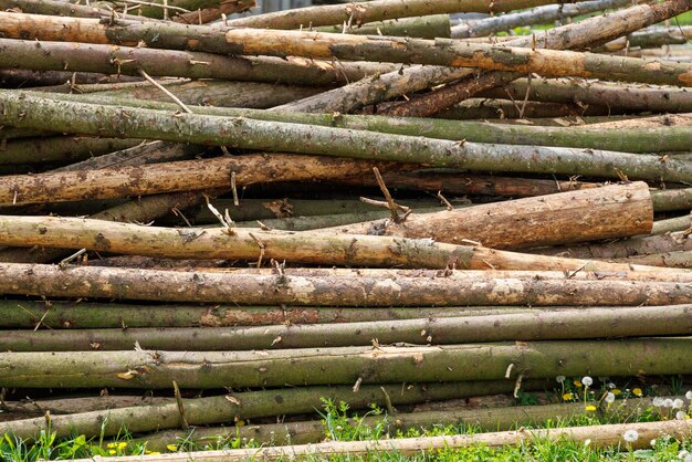 Horizontale stapel onbewerkte pijnboomstammen op zonnige dag