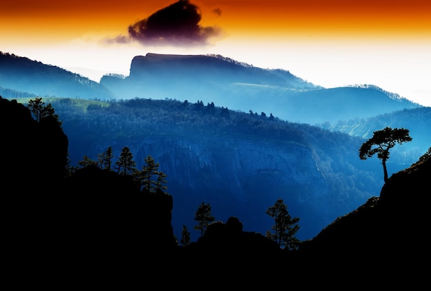 Horizontale vdramatic bergbomen op rotsen silhouet zonsondergang achtergrond backdrop