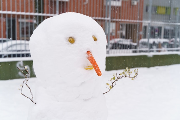 Horizontale weergave van sneeuwpop met een wortel als neus in de straat.