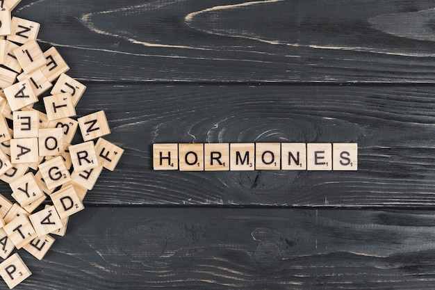 Hormones word on wooden background