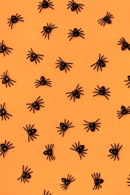 Horrifying halloween spiders isolated on orange background