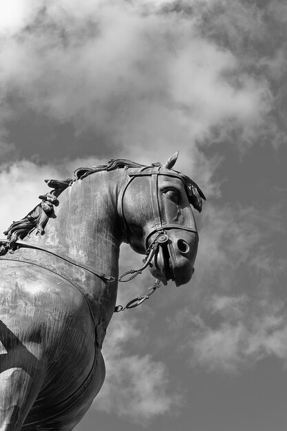 Foto cavallo contro il cielo