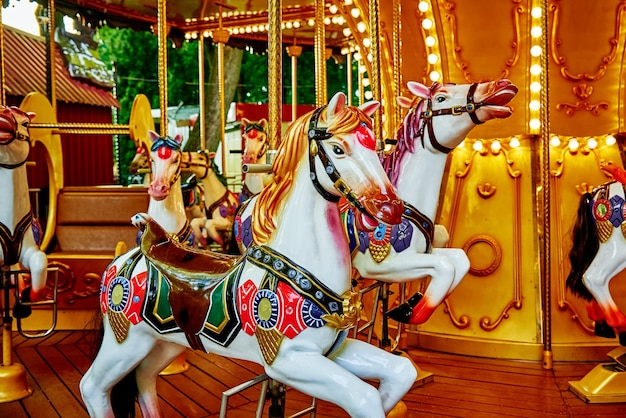 Horse carousel at amusement park