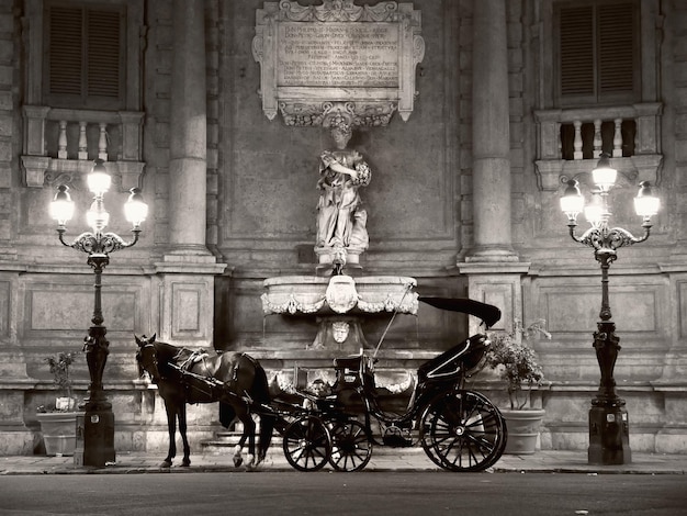 Photo horse cart against building at night