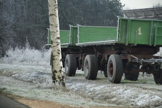 Horse cart on field by road