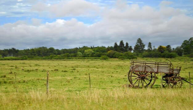 Horse cart on field by trees against sky