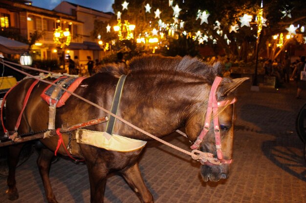 夜に照らされた通りでの馬車