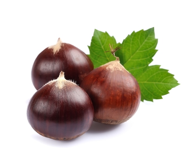 Horse chestnuts with leaves isolated.