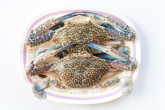 Horse crab