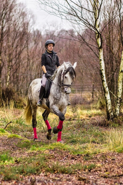 Horse equitation professional small business owner athlete Beautiful portrait outdoors dressage rider horseback sport