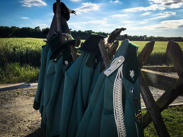 Foto cavallo sul campo contro il cielo