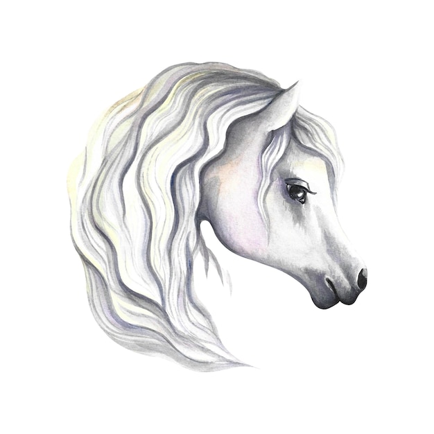 Horse from behind. Watercolor illustration.