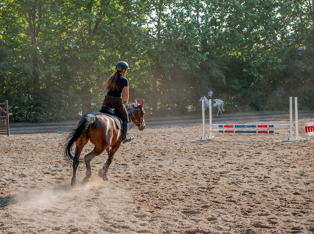 Horse gallop mounted by amazon