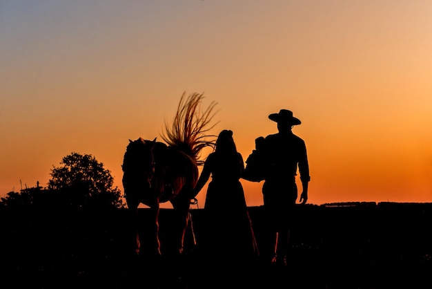 Horse and gaucho family on farm at sunset silhouette