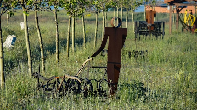 Foto cavallo appeso sul campo dagli alberi