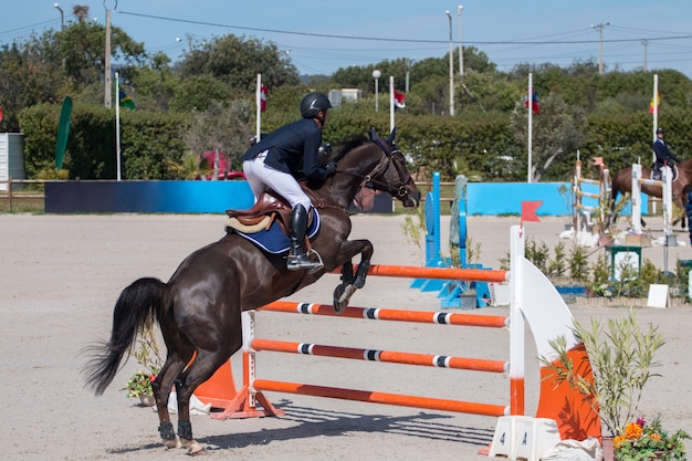 Horse jumping competition