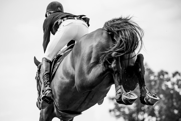 Photo horse jumping equestrian sports show jumping competition themed photograph