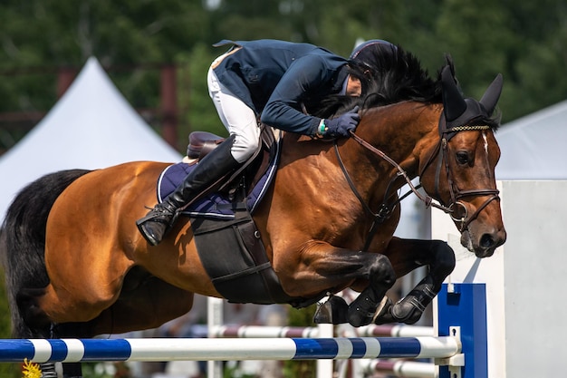 Фото Фото с тематикой скачек на лошадях и конных видов спорта