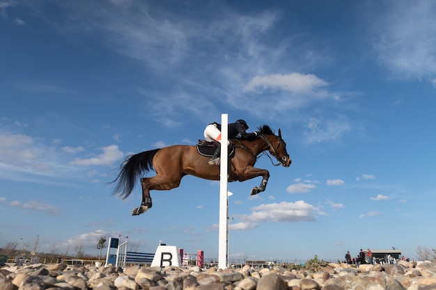 a horse jumps over the fence in an equestrian competition.
