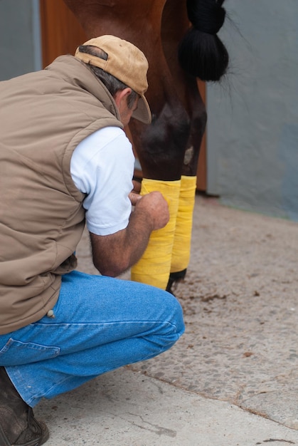 Horse keeper selling his legs