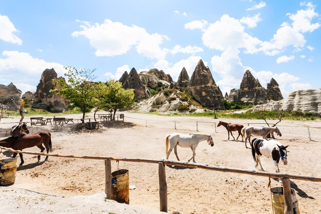 Horse paddock near Goreme town in Cappadocia