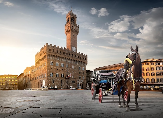 Horse on Piazza della Signoria in Florence at dawn, Italy