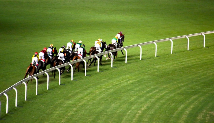 Photo フィールドでの競馬