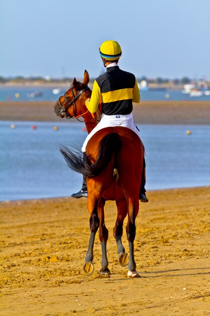 Horse race on Sanlucar of Barrameda, Spain